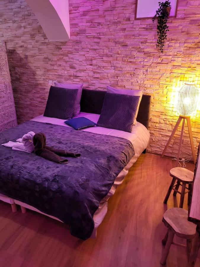 Apartment Le De La Cathedrale - Jacuzzi - Sauna - Champagne - Netflix - Wifi *
