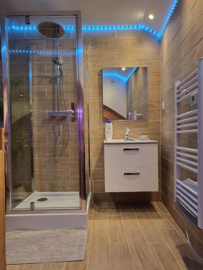 Apartment Le De La Cathedrale - Jacuzzi - Sauna - Champagne - Netflix - Wifi Troyes